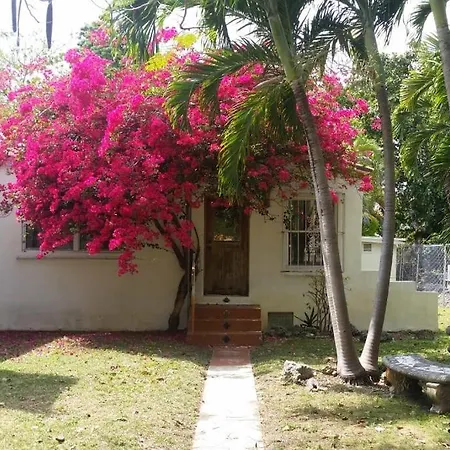 Private Guest House In The Heart Of Miami! Surrounded By Miami'S Hot Spots! Exterior photo